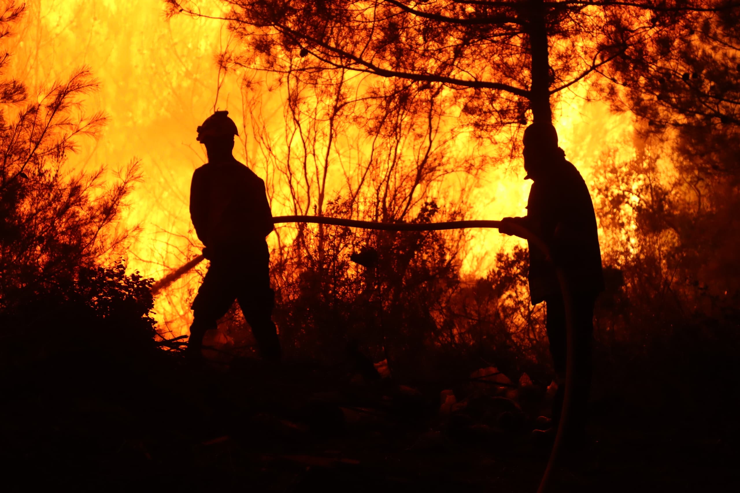 Syria battles to stop forest fires in Latakia
